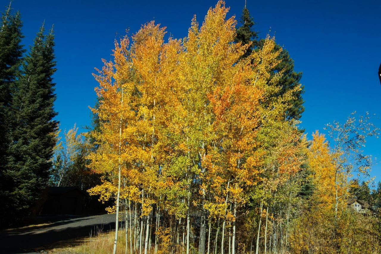 Aspen Village Golf Course Condo - Snowshoes 麦考尔 外观 照片